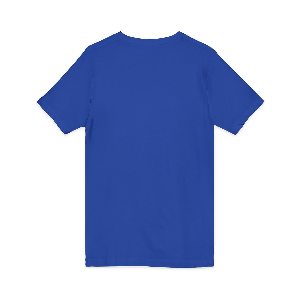 Unisex Jersey Short Sleeve V-Neck Tee